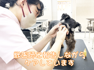 血液検査と健康チェック！